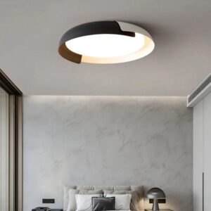 Modern Bi-Color LED Ceiling Light